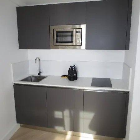 Marechal Foch Duplex 2p Tardier Daire Nice